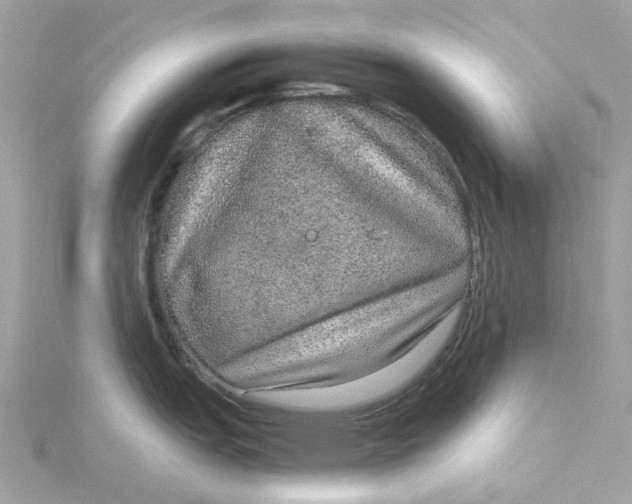 X0000115211151200911181523