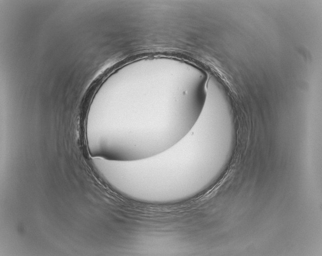 X0000115211165200911181522
