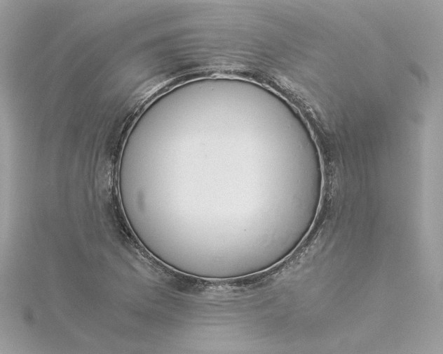 X0000115211169200911181522