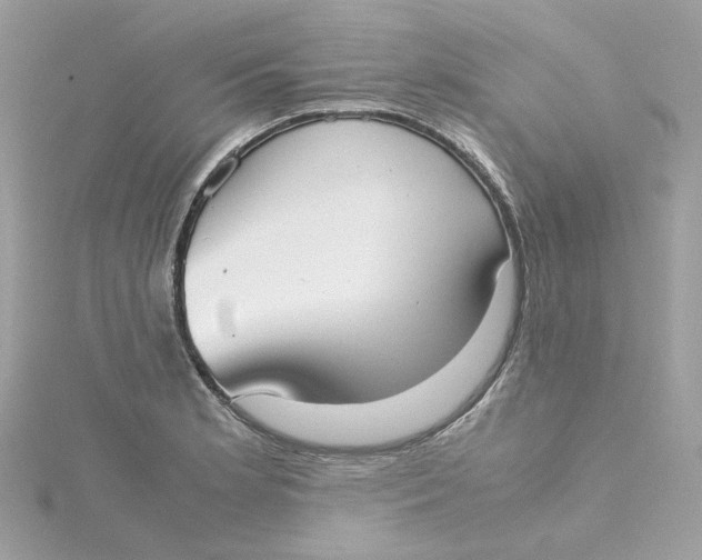 X0000115211181200911181522