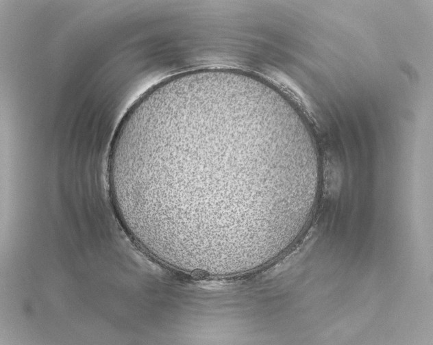 X0000115211182200911181522