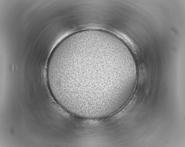 X0000115211190200911181522