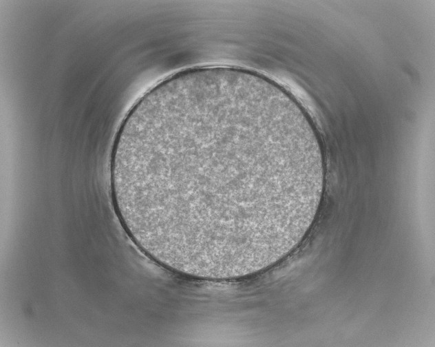 X0000115211191200911181522