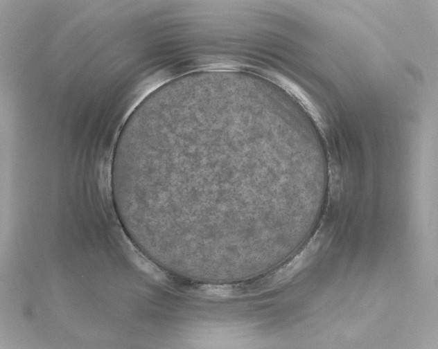 X0000115211194200911181522