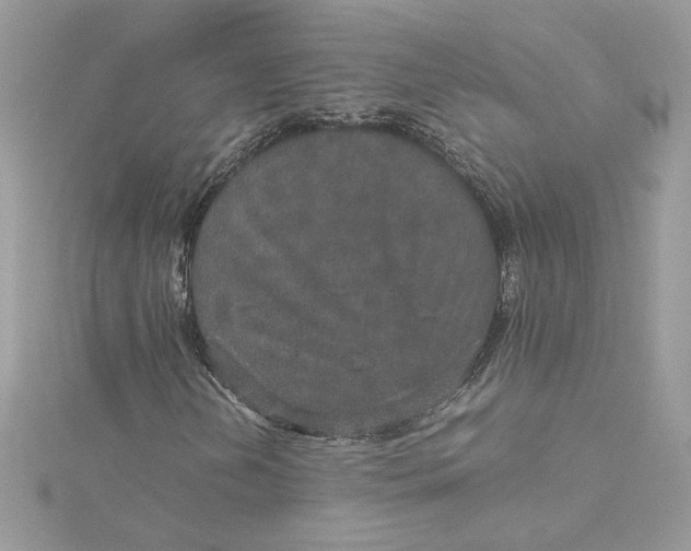 X0000115211202200911181521