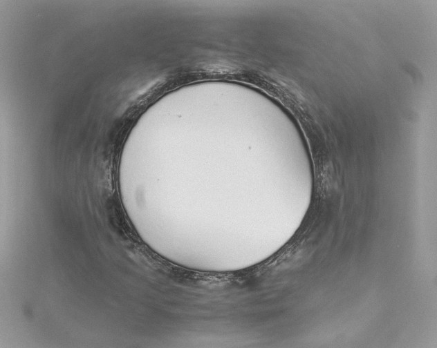 X0000115211205200911181521