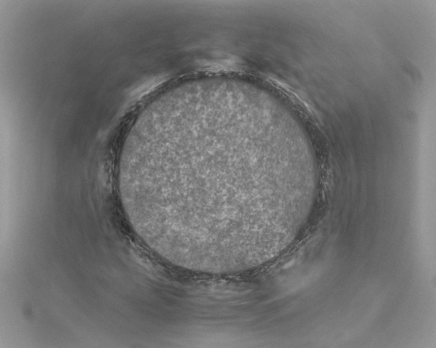 X0000115211207200911181521