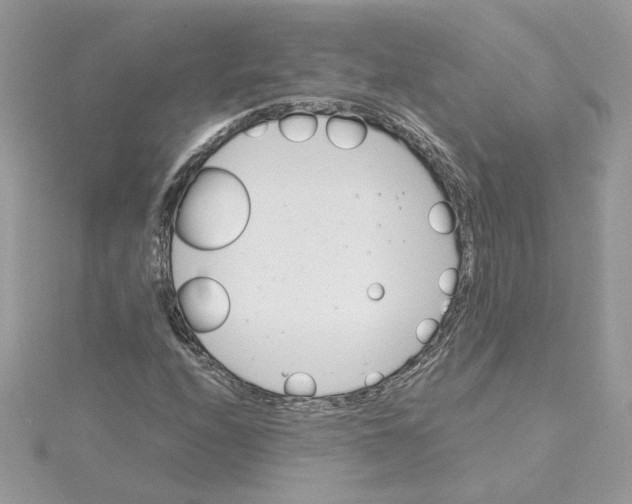 X0000115211208200911181521