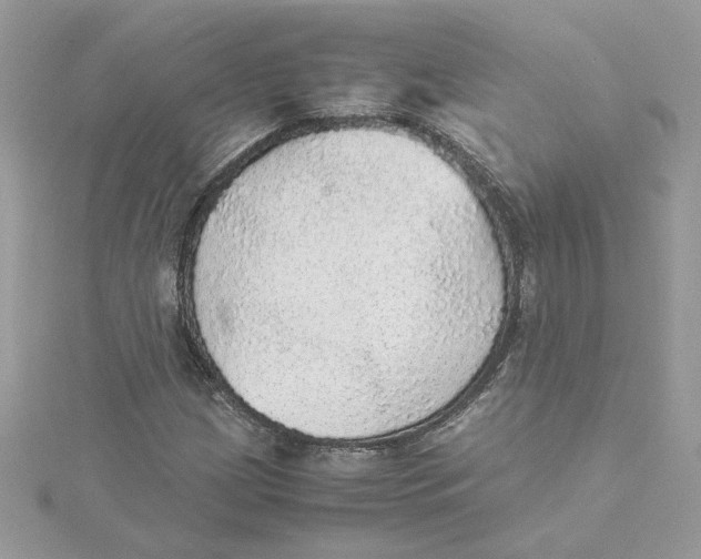 X0000115211209200911181521
