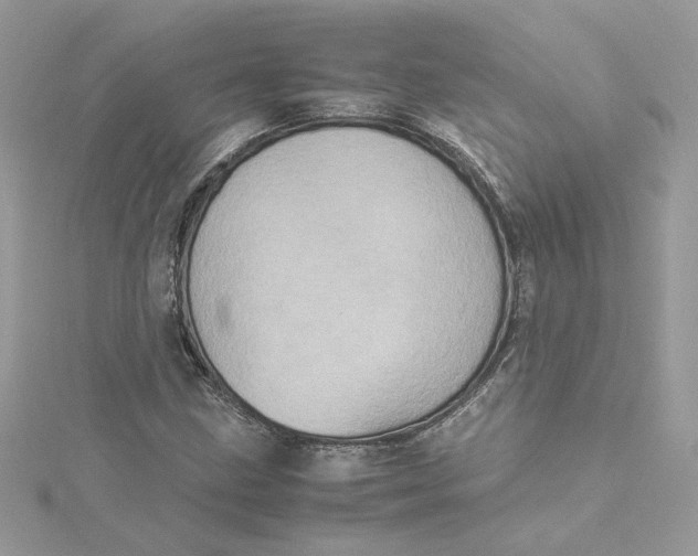 X0000115211211200911181521