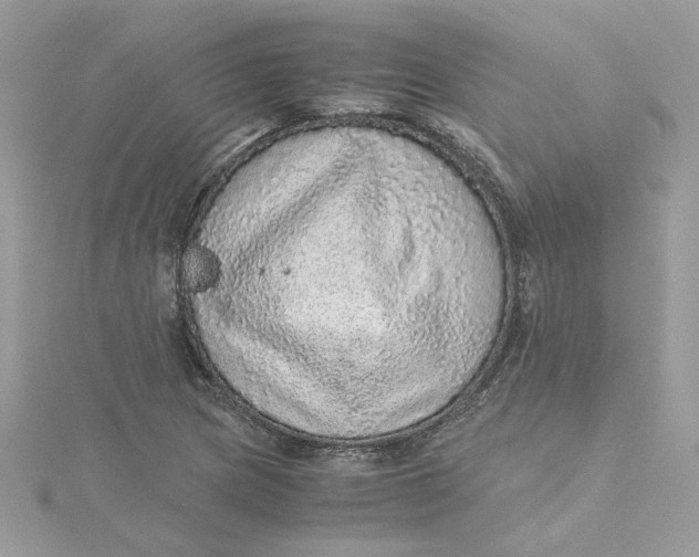 X0000115211217200911181522