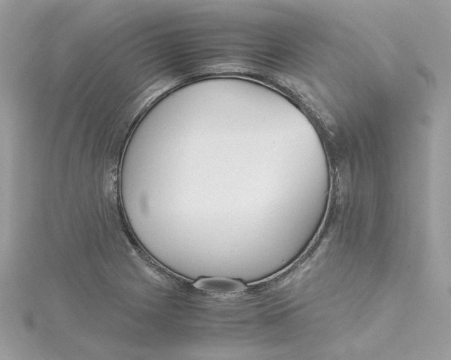 X0000115211225200911181522