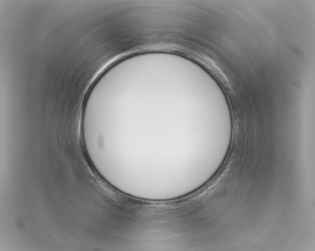 X0000115211228200911181522