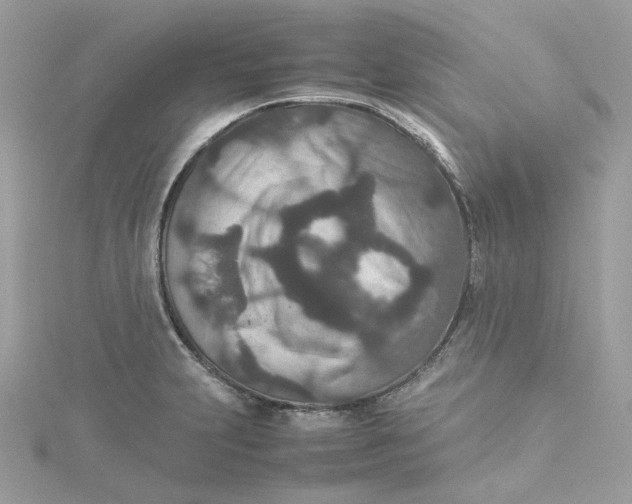 X0000115211231200911181522