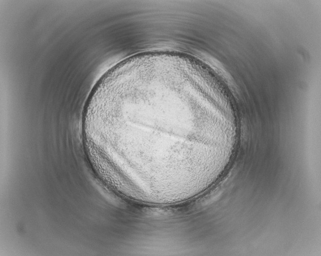 X0000115211234200911181522