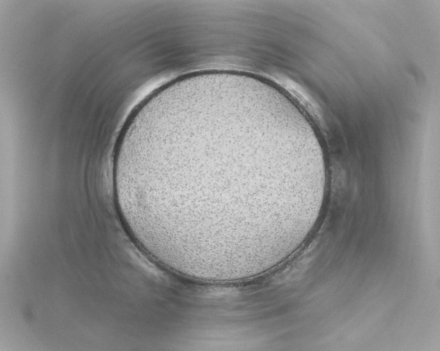 X0000115211238200911181522