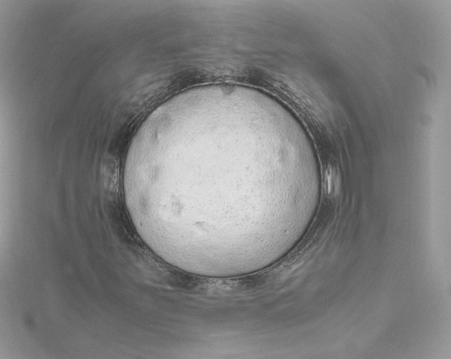 X0000115211251200911181521