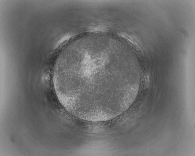 X0000115211254200911181521