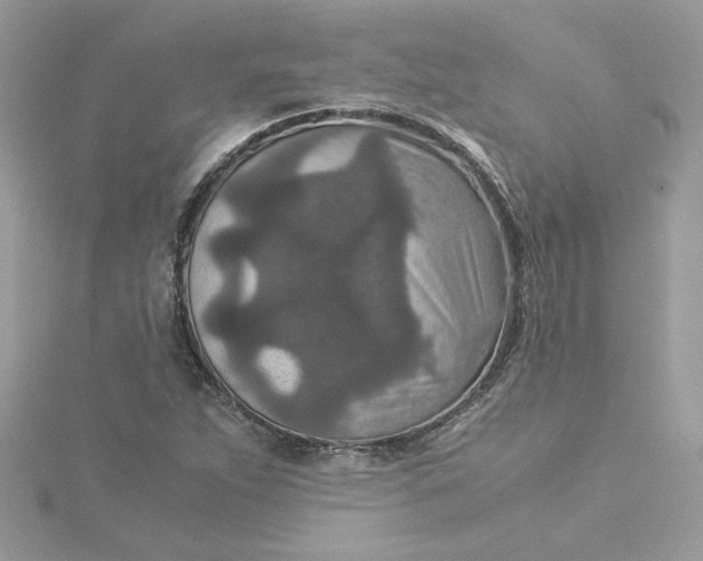 X0000115211263200911181521