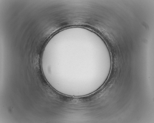 X0000115211265200911181521