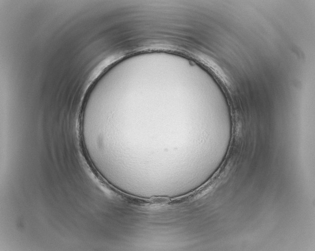 X0000115211282200911181521