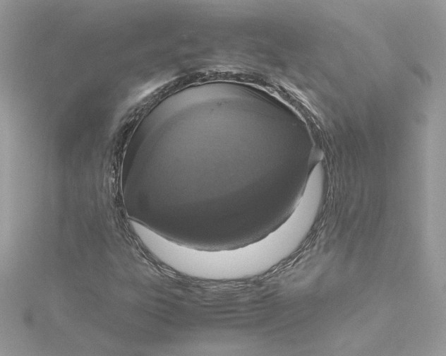 X0000115211303200911181520
