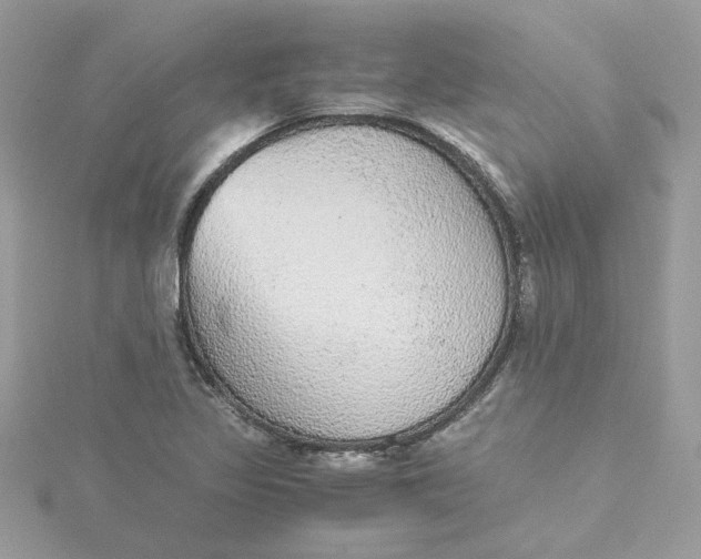 X0000115211317200911181520