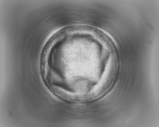 X0000115211333200911181521