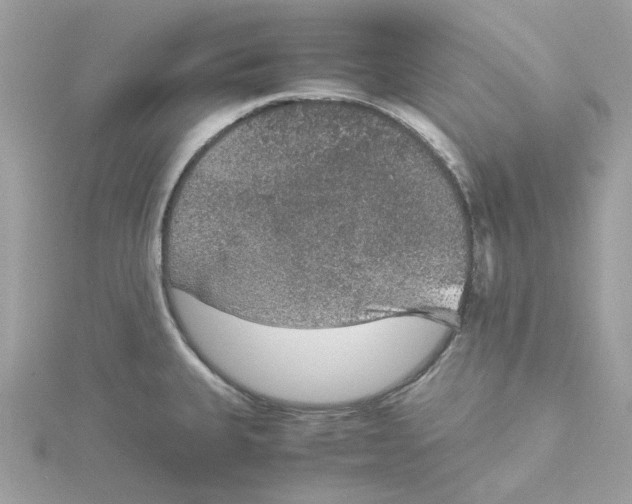 X0000115211335200911181521