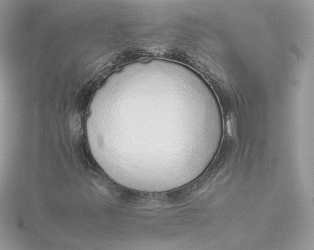 X0000115211347200911181520