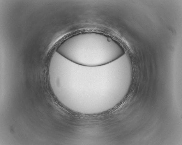 X0000115211352200911181520