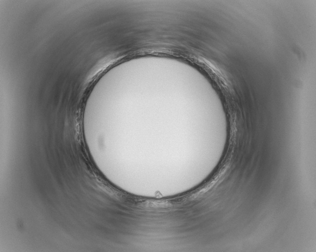 X0000115211354200911181520