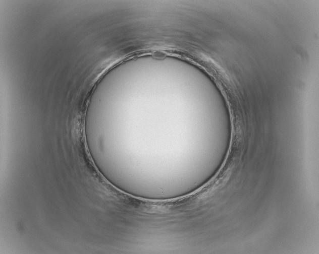 X0000115211361200911181520