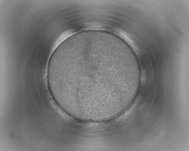 X0000115211378200911181520