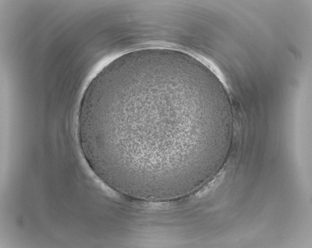 X0000115211381200911181520