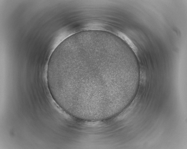 X0000115211386200911181520