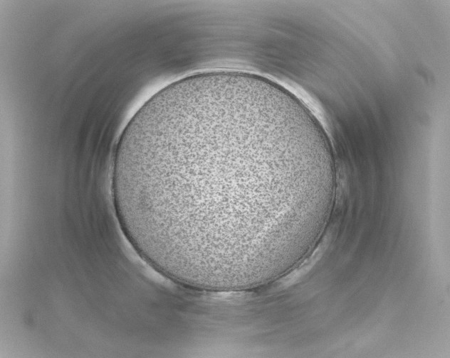 X0000115211390200911181519