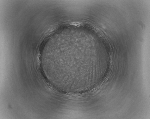 X0000115211394200911181519