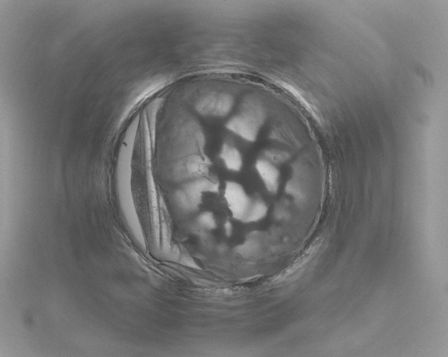 X0000115211405200911181519