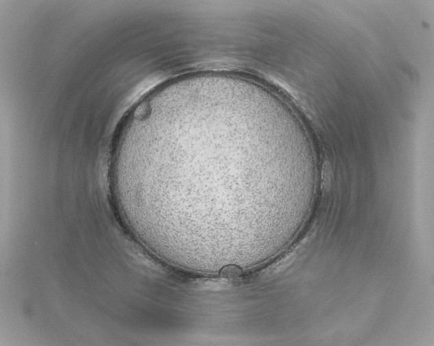 X0000115211410200911181519