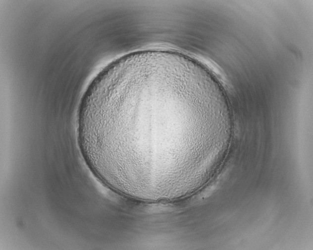X0000115211430200911181519