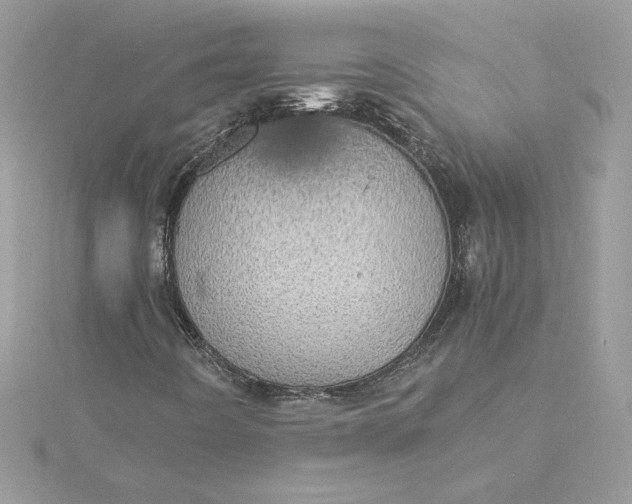 X0000115211442200911181519