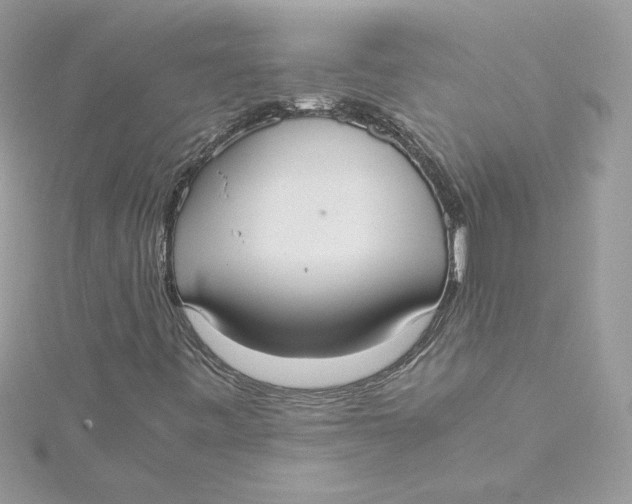 X0000115211443200911181519