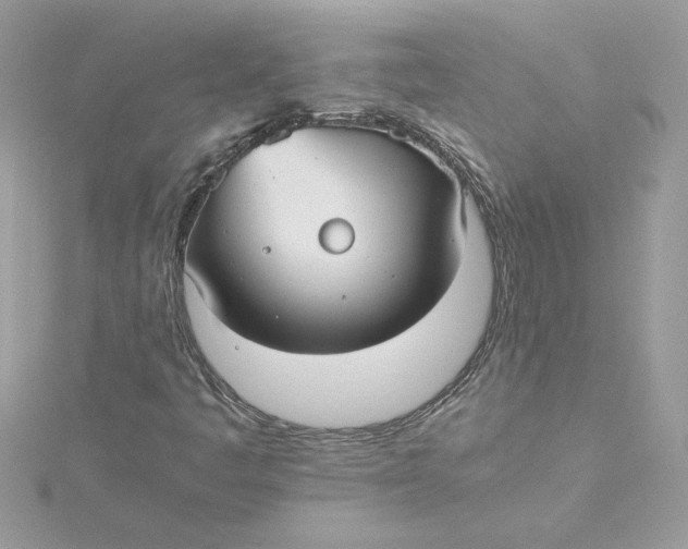 X0000115211445200911181519