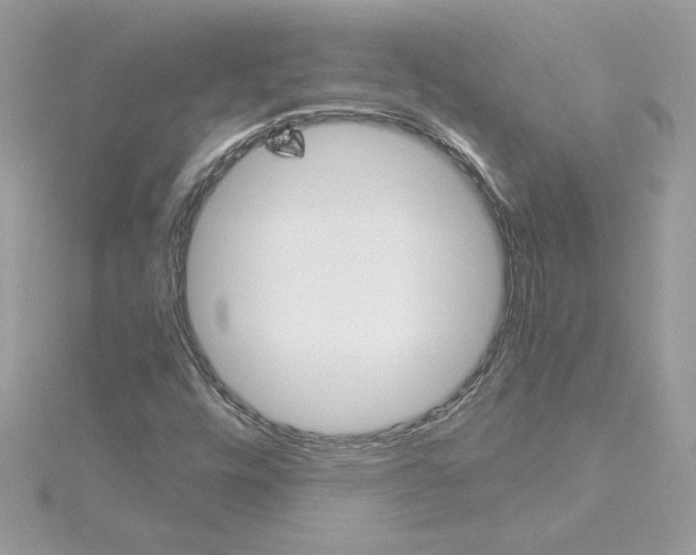 X0000115211448200911181519