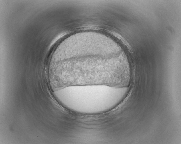 X0000115211450200911181519