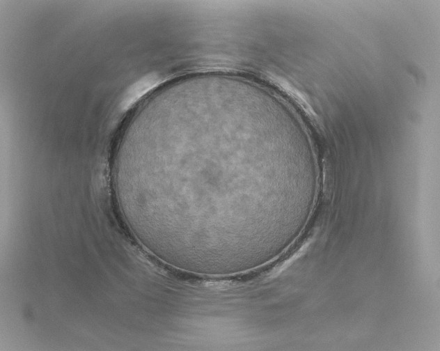 X0000115211453200911181519