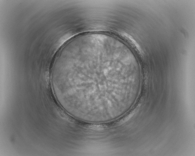 X0000115211457200911181519