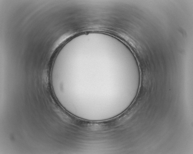 X0000115211458200911181519