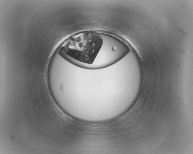 X0000115211460200911181519
